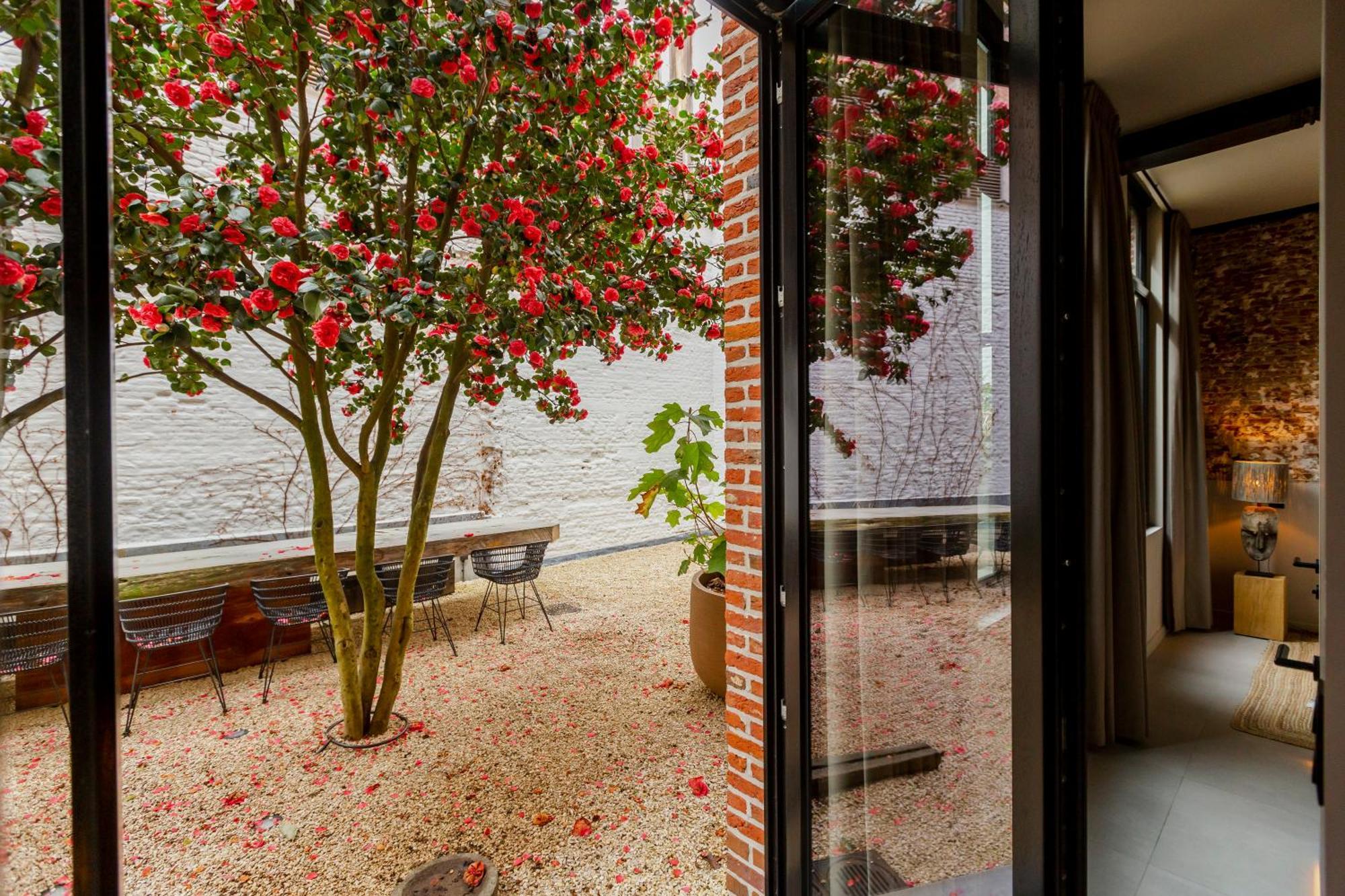 Btfl Living Antwerp公寓 外观 照片